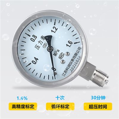 Y-100BF指针式压力表
